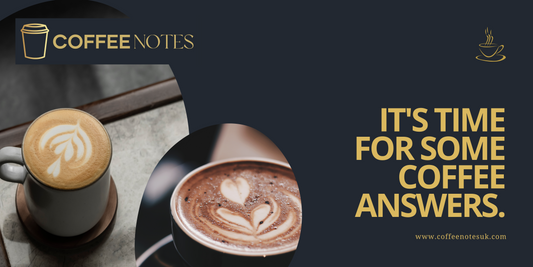 Your Ultimate Guide to Coffee Beans: Everything You Need to Know - From Coffee Notes UK