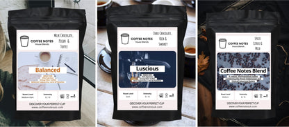 Coffee Notes Explorer Speciality Coffee Beans Bundle - Fresh Roasted