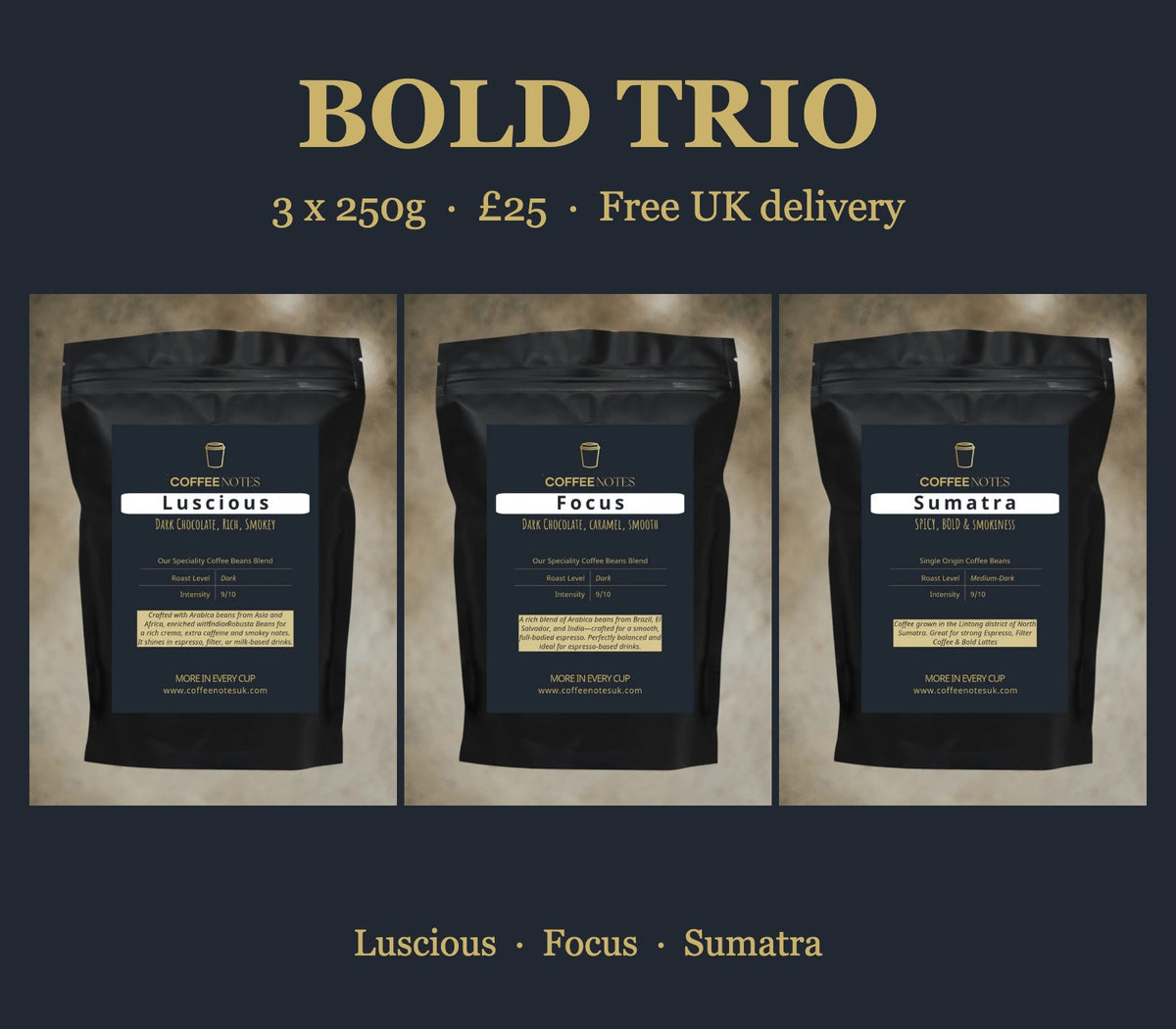Bold Trio: Luscious, Focus and Sumatra coffee, 3 x 250g for £25